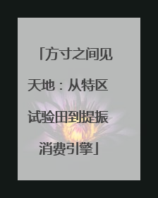 方寸之间见天地：从特区试验田到提振消费引擎